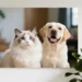 Best Custom Pet Portrait Gifts pic